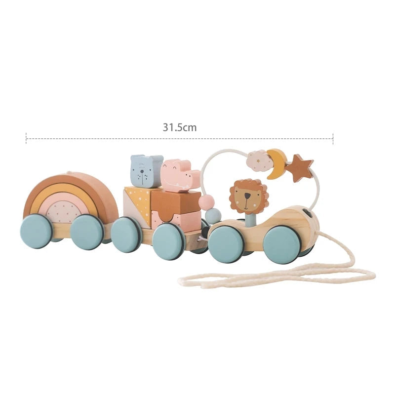 Wooden Montessori Train Learning Toy for Kids Gift