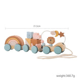 Wooden Montessori Train Learning Toy for Kids Gift