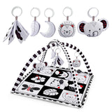 Baby Play Gym Activity Mat with Hanging Toys for Newborns and Infants